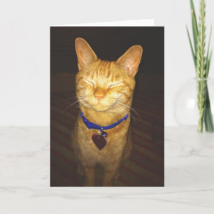 Tarjeta El cumpleaños del gato quiere saludar