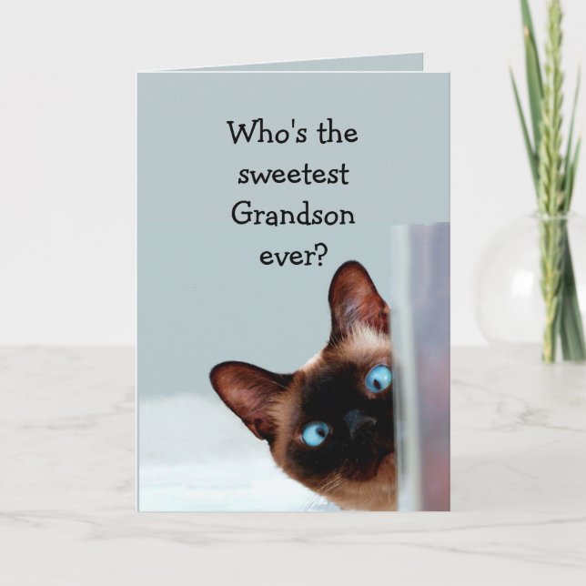 Tarjeta El cumpleaños del nieto gracioso desea un gato sia (Anverso)
