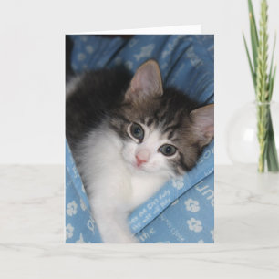 Tarjeta El cumpleaños desea "el ronroneo--cumpleaños del