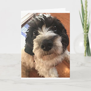 TARJETA EL CUMPLEAÑOS DESEA UN *MEJOR AMIGO* DE TODAS FORM