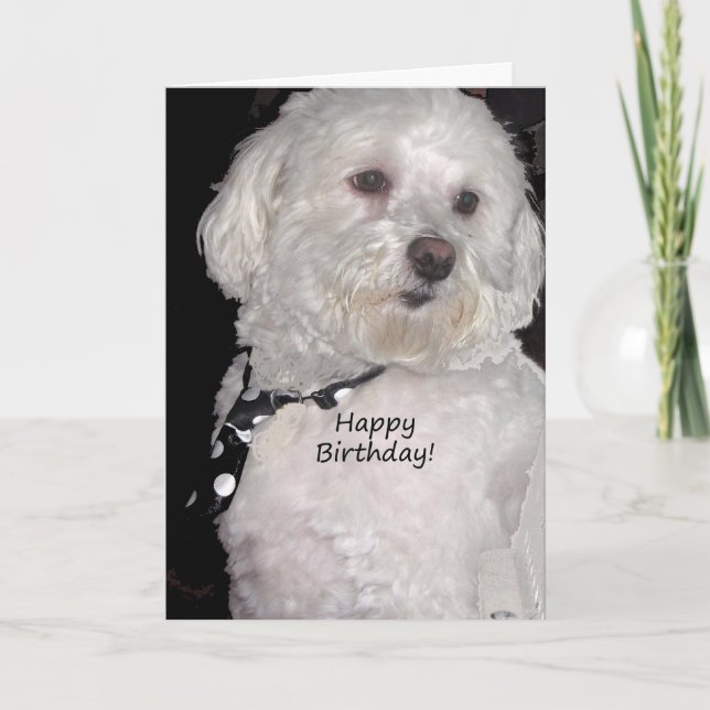 Tarjeta El cumpleaños feliz de los haitianos (Anverso)