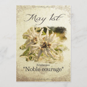 Tarjeta El cumpleaños florece el 1 de mayo "Edelweiss "