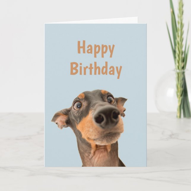 Tarjeta El cumpleaños gracioso conmocionó el humor animal  (Anverso)