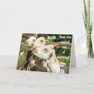 TARJETA ¡EL CUMPLEAÑOS LE DESEA A MI MADRE EN SU DÍA! TARJ