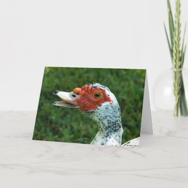 Tarjeta El curandero de Quackity no replica (Anverso)