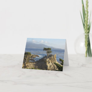 Tarjeta El Cypress solitario