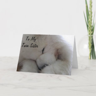 TARJETA EL DESEO DEL CUMPLEAÑOS DE LA HERMANA DE TWIN DE M