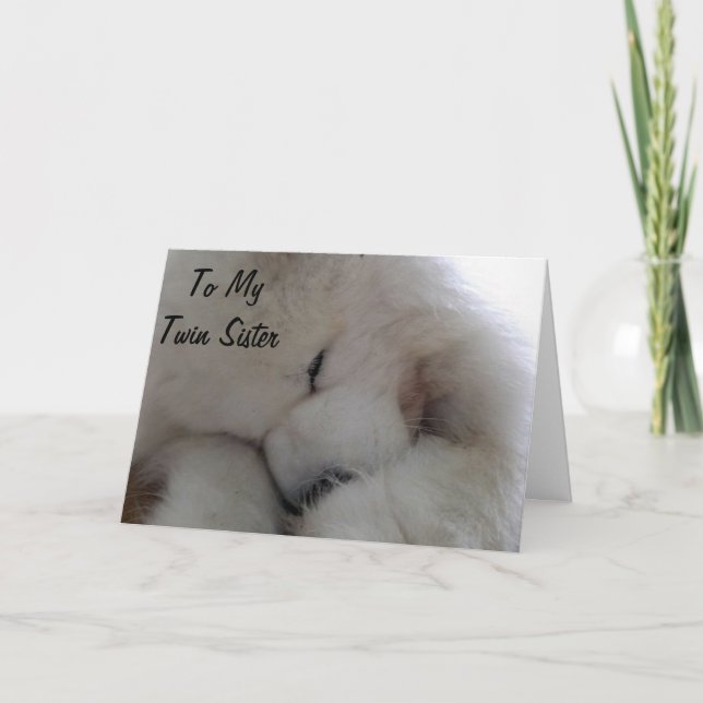 TARJETA EL DESEO DEL CUMPLEAÑOS DE LA HERMANA DE TWIN DE M (Anverso)