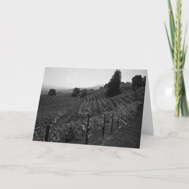 Tarjeta El detalle, viñedos del pañero acerca a St. (Anverso)