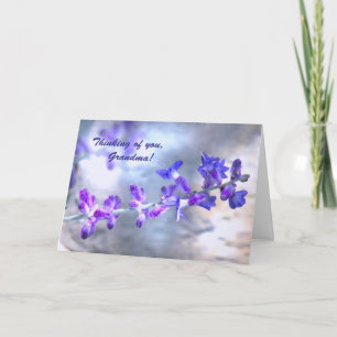 Tarjeta El día de la madre de las flores moradas de la abu