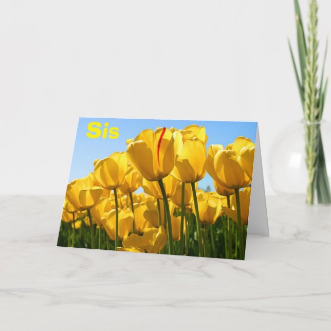 TARJETA EL DÍA DE LA MADRE TAMBIÉN AMA EL SIS CON LOS MONT (Anverso)