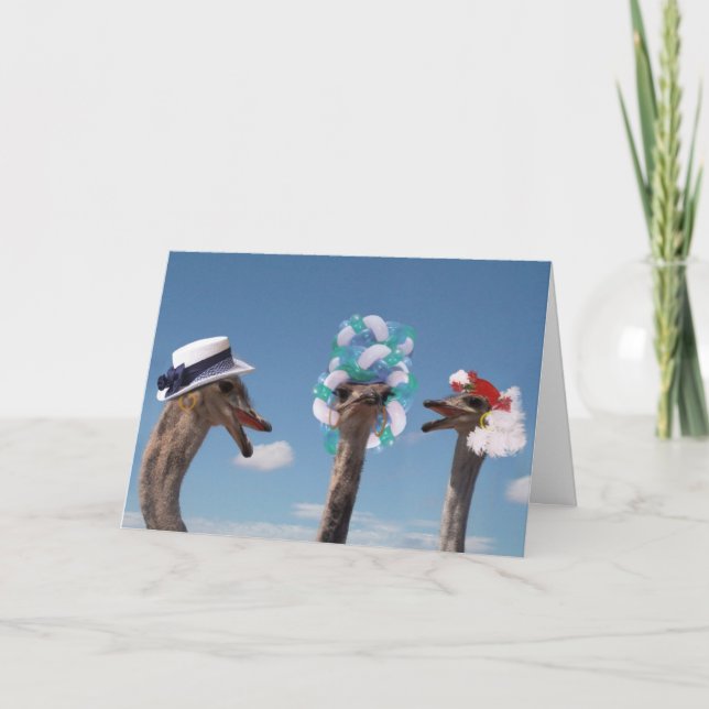 Tarjeta El día de los locos Gorras en las carreras (Anverso)
