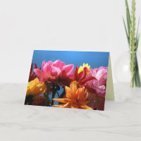 El día de madre brillante de las dalias