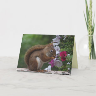 Tarjeta El día de madre de la ardilla roja