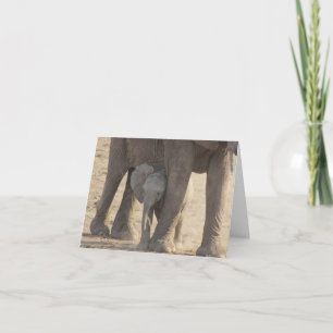 Tarjeta El día de madre (elefante del bebé)
