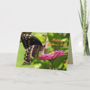 Tarjeta El día de madre feliz, amigo, mariposa en la flor