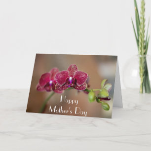 Tarjeta El día de madre hermoso de la orquídea