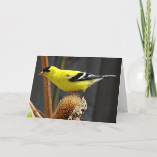 Tarjeta El día de padre americano del goldfinch