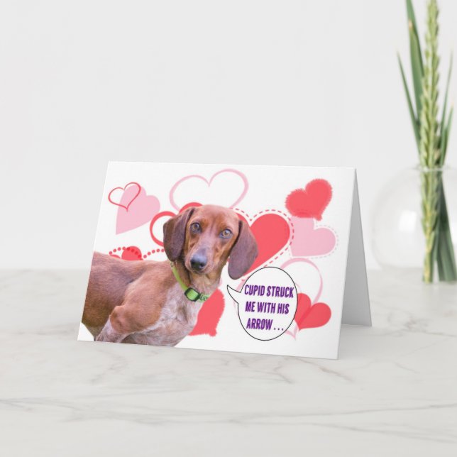 Tarjeta El día de San Valentín Dachshund (Anverso)