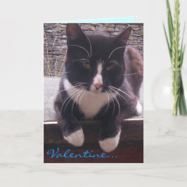 tarjeta El día de San Valentín de gato