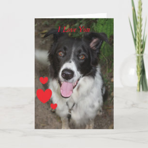 Tarjeta el día de San Valentín del perro