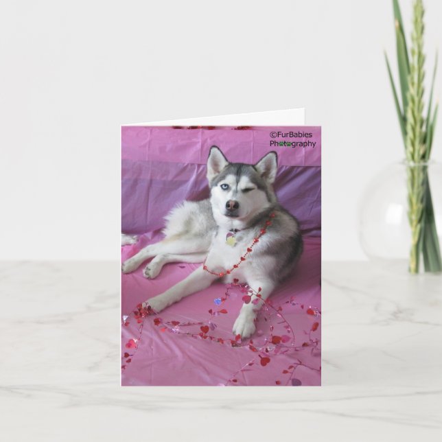 Tarjeta El día de San Valentín divertido, lindo del husky (Anverso)