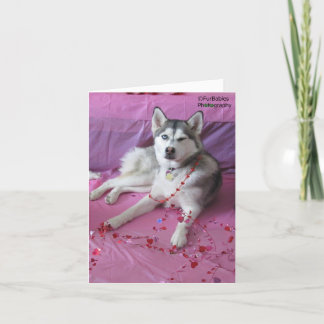 Tarjeta El día de San Valentín divertido, lindo del husky