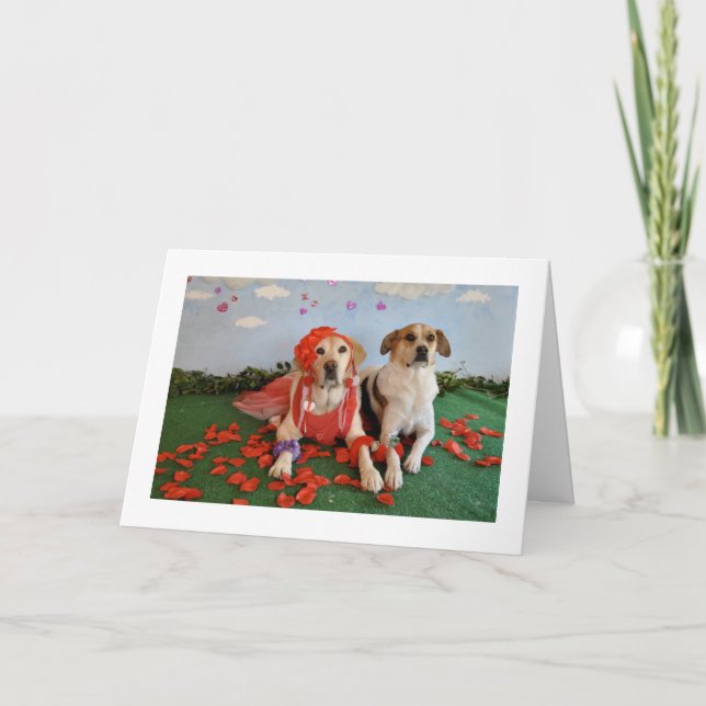 tarjeta el día de San Valentín, foto de 2 perros (Anverso)