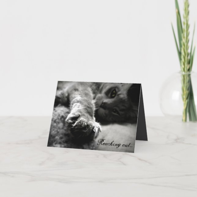 Tarjeta El día de San Valentín para gatos Kitty (Anverso)