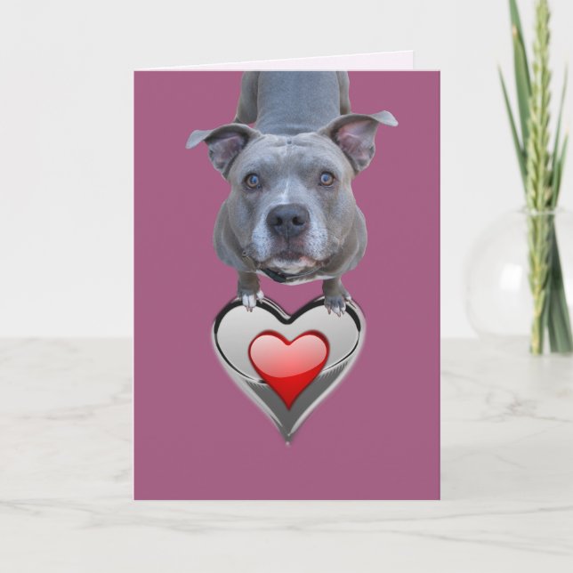 Tarjeta El día de San Valentín Pitbull de dos cora (Anverso)