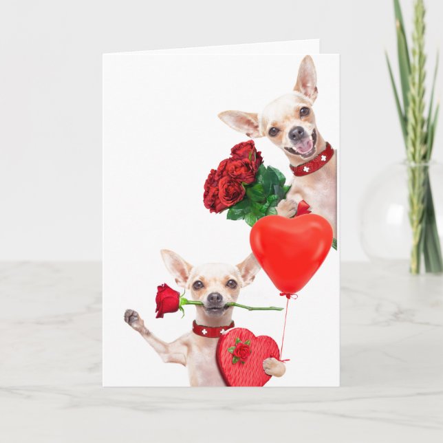 Tarjeta El día de San Valentín se burla de Chihuahuas con  (Anverso)