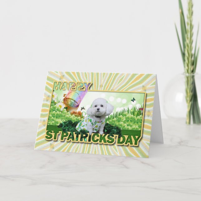 Tarjeta El día de St Patrick - Bichon Frise - Mia (Anverso)