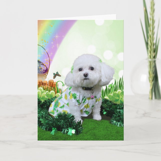Tarjeta El día de St Patrick - Bichon Frise - Mia (Anverso)