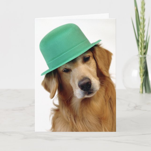 Tarjeta El día de St Patrick del golden retriever (Anverso)