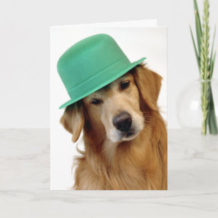 Tarjeta El día de St Patrick del golden retriever