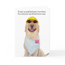 El día del padre humorístico de la esposa