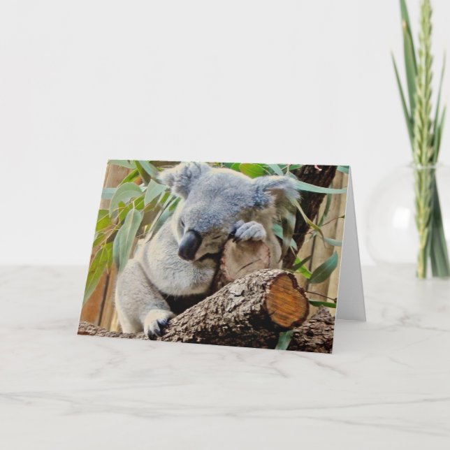 Tarjeta El dormir del oso de koala consigue bien (Anverso)