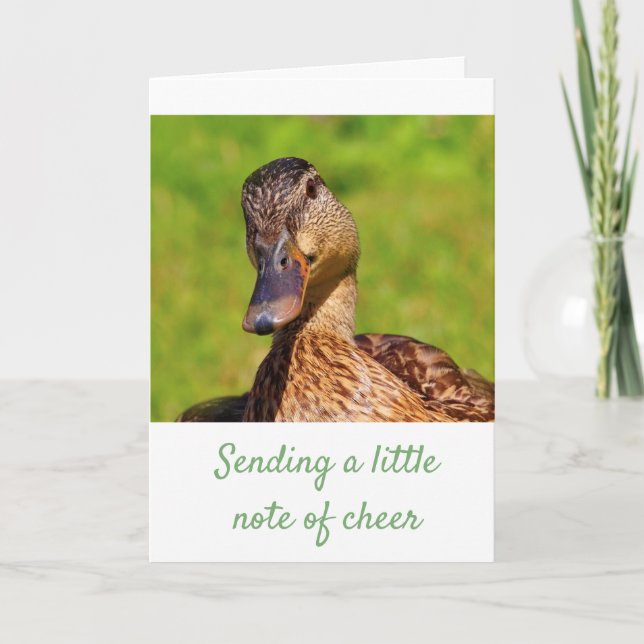 Tarjeta El dulce pato mallard se pone bien (Anverso)