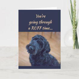 Tarjeta El estímulo consigue al mascota rizado negro lindo