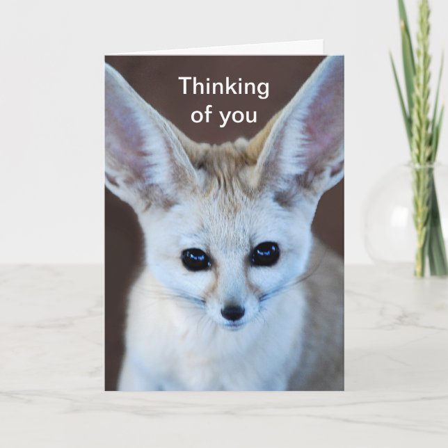 Tarjeta El Fox más lindo de Fennec de los mundos (Anverso)