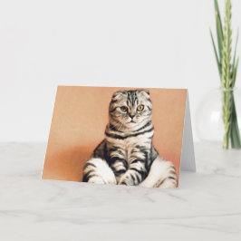 Tarjeta El Gatito Cute Se Extiende