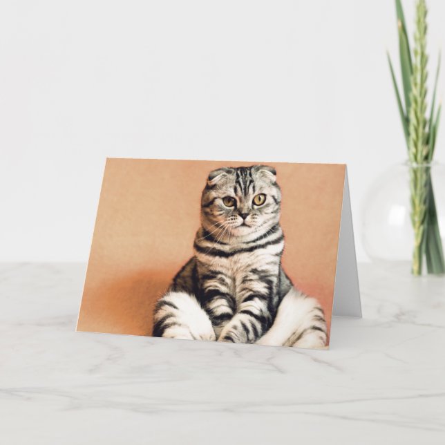 Tarjeta El Gatito Cute Se Extiende (Anverso)