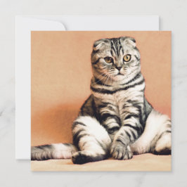 Tarjeta El Gatito Cute Se Extiende