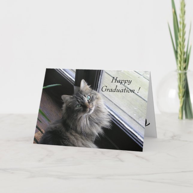 Tarjeta El gato bonito dice la graduación feliz (Anverso)