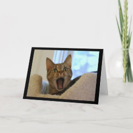 Tarjeta El gato canta un cumpleaños feliz