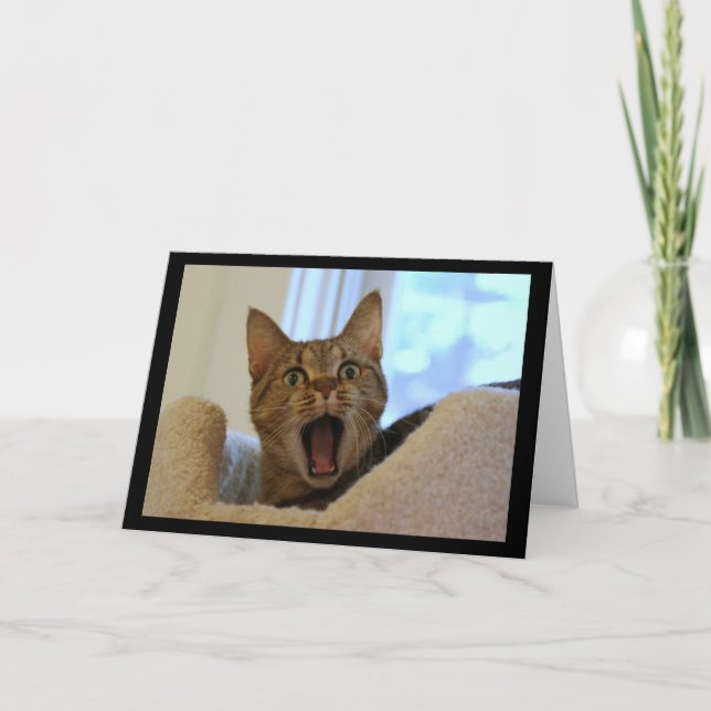 Tarjeta El gato canta un cumpleaños feliz (Anverso)