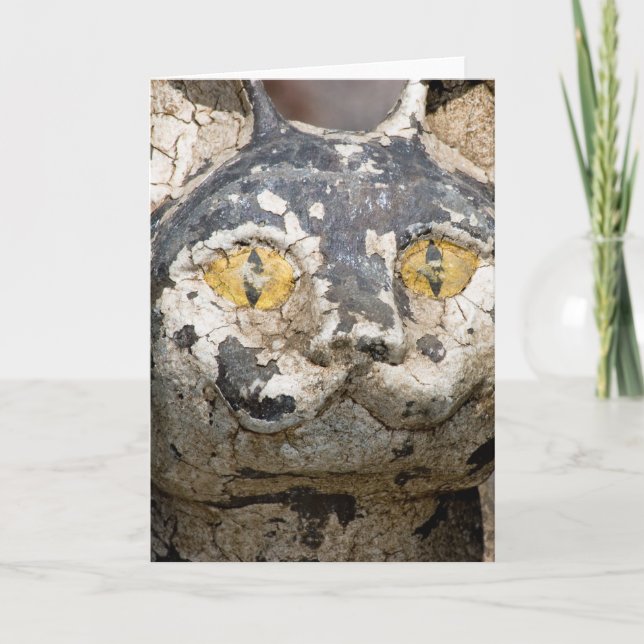 Tarjeta El gato de Kathe que le mira (Anverso)