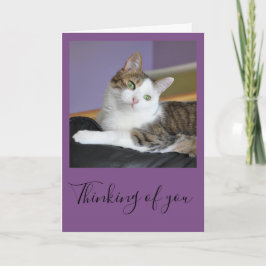 Tarjeta El gato de Tabby que piensa en usted carda