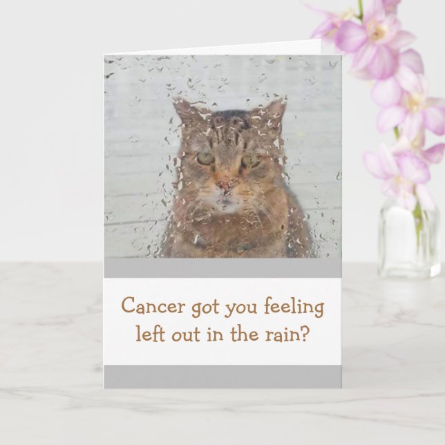 Tarjeta El Gato En Apoyo Al Cáncer De Lluvia (Orquídea)