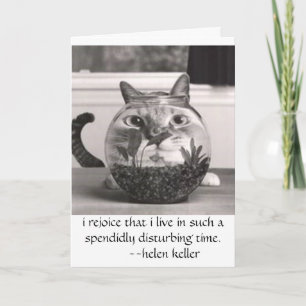 Tarjeta el gato en los pescados rueda, yo disfruta que